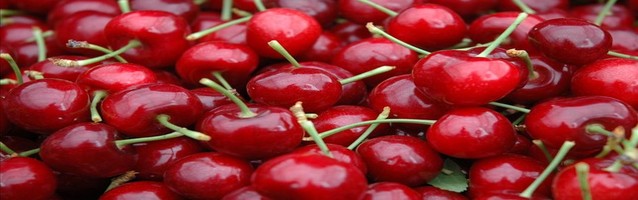 Se realizó la primera exportación de cerezas de Río Negro y Neuquén a Miami
