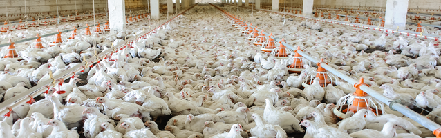 Se reactiva el sistema portuario en Entre Ríos con exportación de producción agrícola