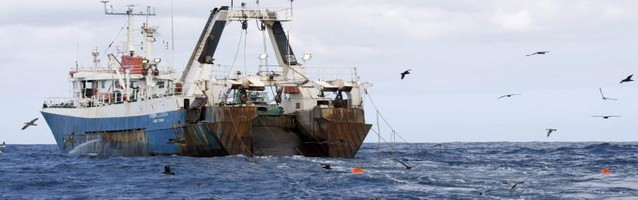 De 2015 a 2016 se triplicaron las exportaciones por el puerto