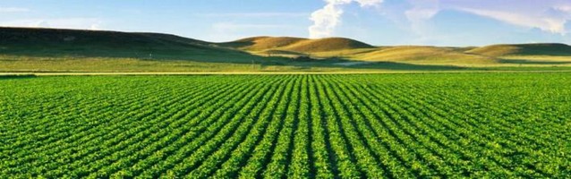 Según Agricultura, en enero crecieron 24% exportaciones de las economías regionales